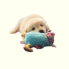 Peluches para Perros