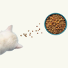 COMIDA PARA GATOS