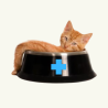 Pienso Veterinario para Gatos