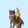 Cañas para Gatos