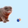 Pelotas para Gatos