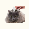 ANTIPARASITARIOS PARA GATOS