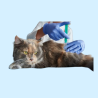 Pipetas Antiparasitarias para Gatos