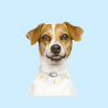 Collares Antiparasitarios para Perros