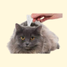 Pipetas Antiparasitarias para Gatos