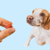 Complementos y Suplementos de Higiene para Perros