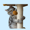 Rascadores para Gatos