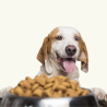 Pienso Alta Energía para Perros