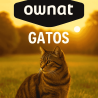 Pienso Ownat para Gatos