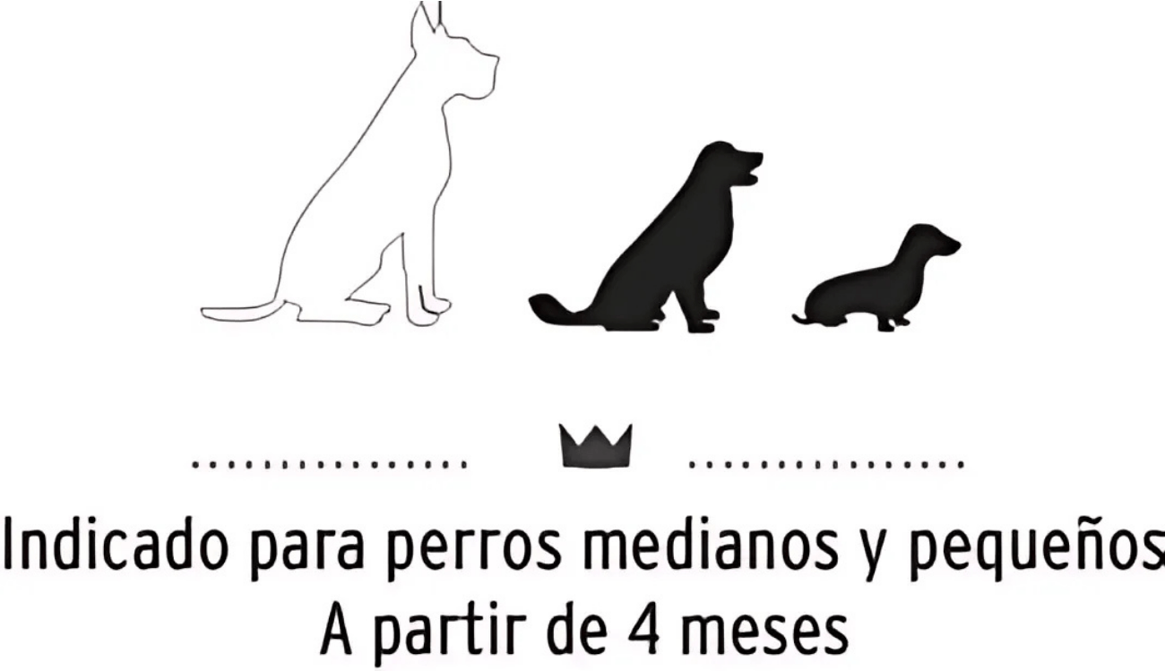 estofados 2 (53)_1.png